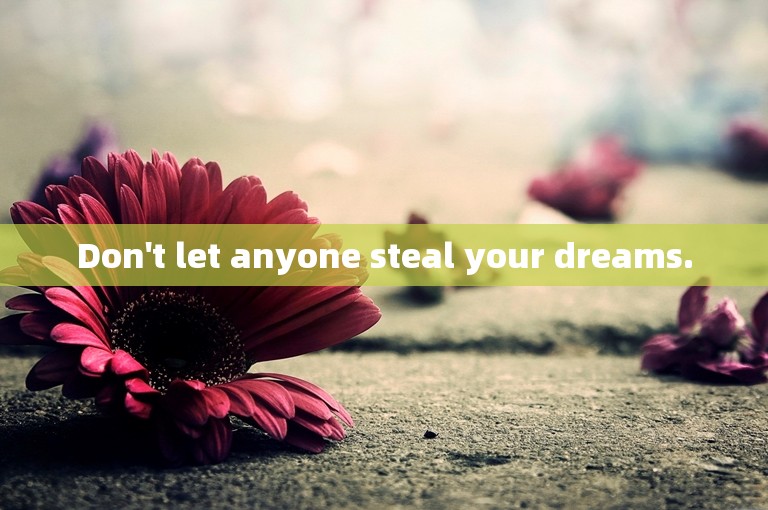 Don't let anyone steal your dreams.