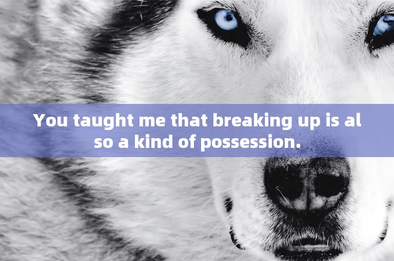 You taught me that breaking up is also a kind of possession.