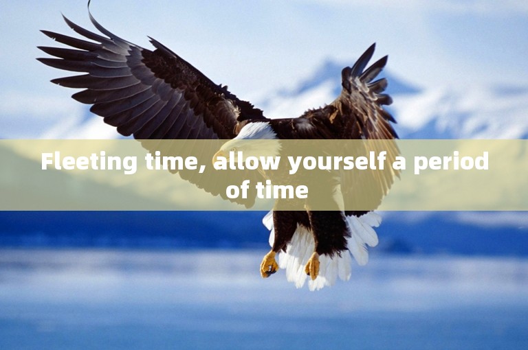 Fleeting time, allow yourself a period of time