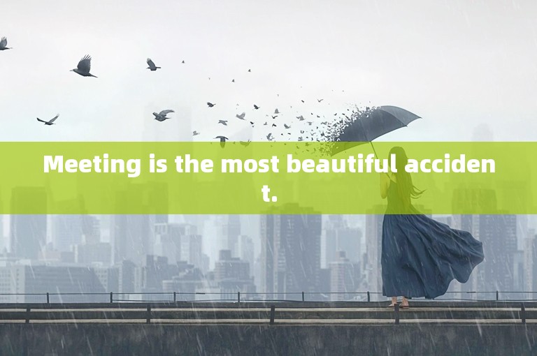Meeting is the most beautiful accident.